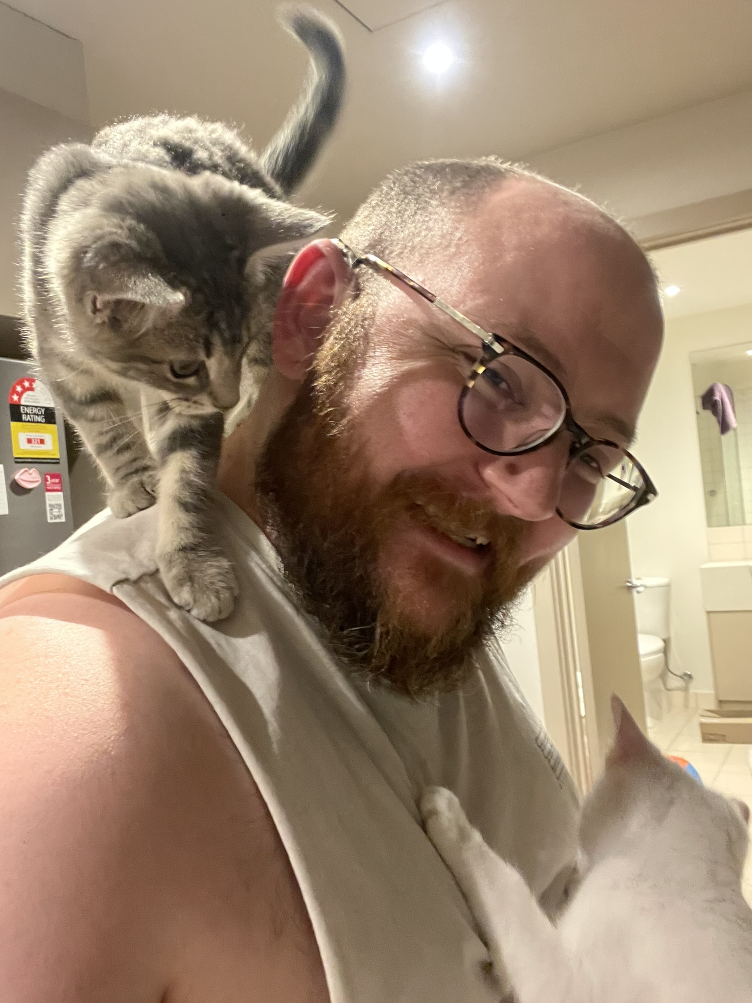 Jesse, smiling and wearing glasses, with a small grey kitten sitting on his shoulder and a white kitten beside him